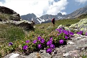 79 Vista in Triomen e Valletto